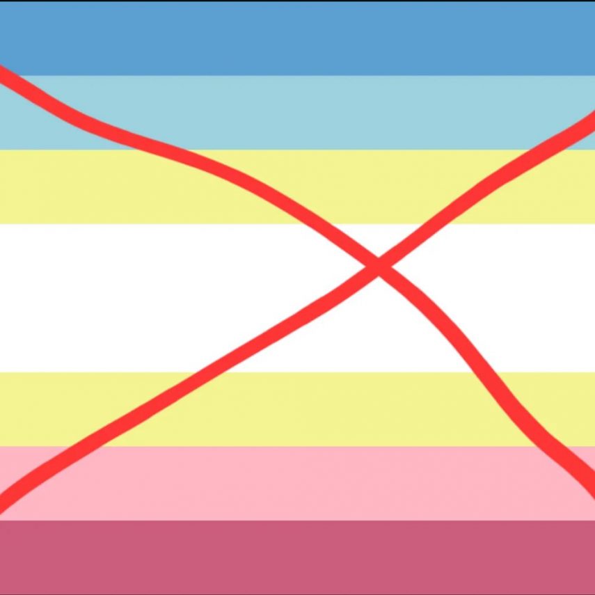 Warum „MAP“ (bzw. Pädophile) Nichts auf dem CSD verloren haben!!